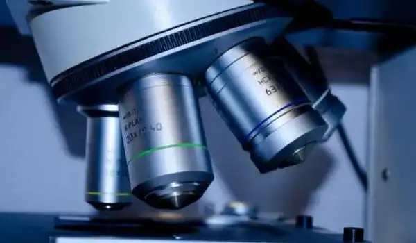 gene editing