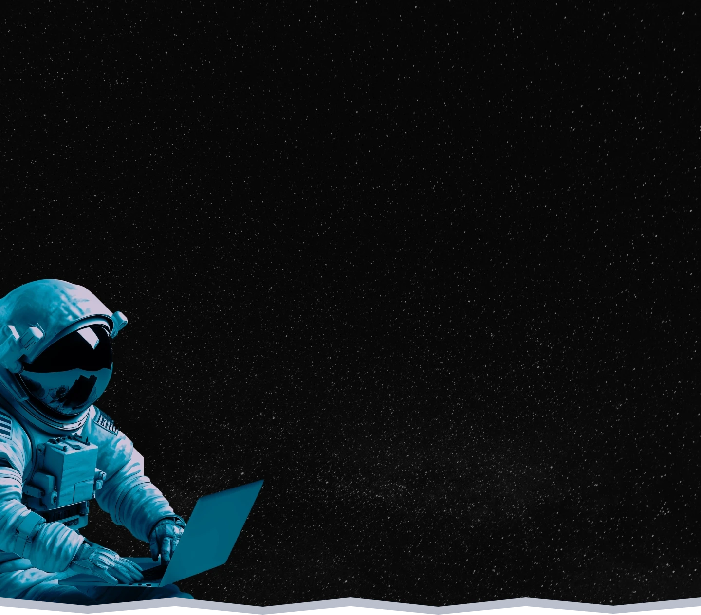 Page Banner